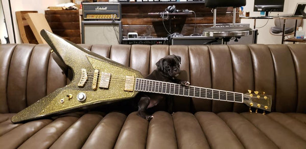 Asteroid Custom Build