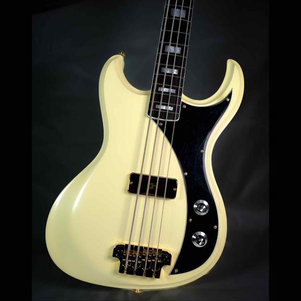 Gnarwhal Bass Custom Build