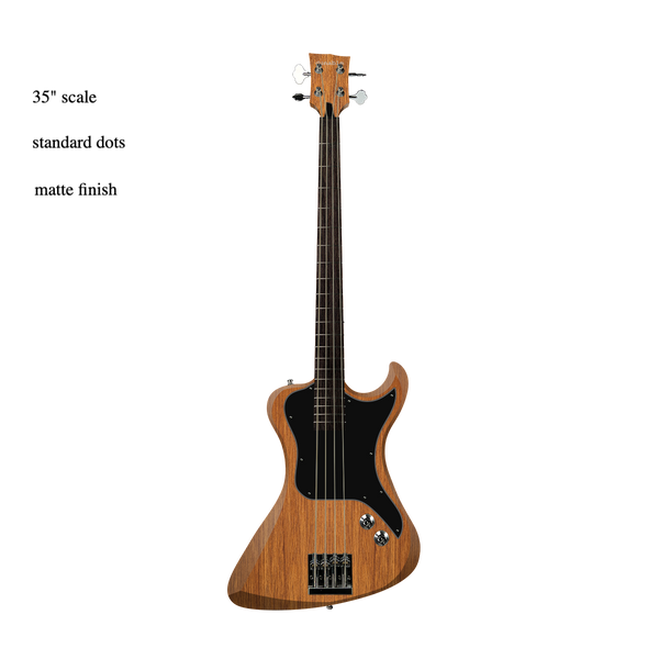 R2 Bass Custom Build